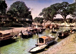 House Boats Near Dacca Postcard
