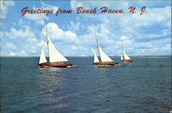 Greetings From Beach Haven Postcard