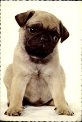 Stock #113540 Thumbnail