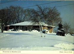 Wintertime In Hamilton Area Ontario Canda Postcard Postcard