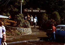 Entrance To The Glow-Warm Caves Waitomo, New Zealand Postcard Postcard