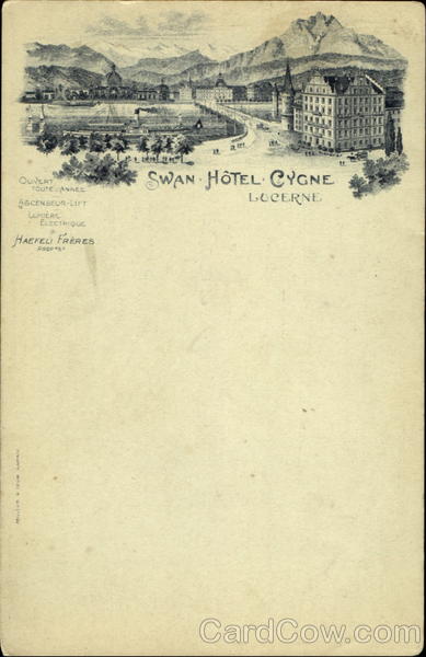 Swan Hotel Cygne Lucerne Switzerland