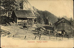 Alpenweide Postcard