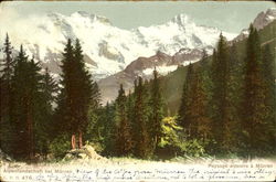 Aplenlandschaft Postcard
