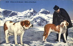 Saint Bernards Scenic, Switzerland Postcard Postcard