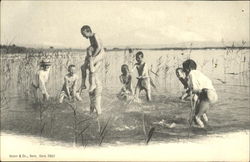 Kaiser & Co., Bern. Serie 7802 Postcard