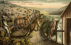 Gruss aus dem Siegerlande. Hauberg. - Kornsäen und Pflügen. Lohmühle Postcard