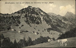 Mountain view Postcard