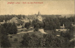 Jungborn (im Harz) - Partie aus dem Friedrichspark Postcard