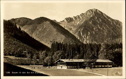 1288 Bauer in der Au mit Kampen Postcard