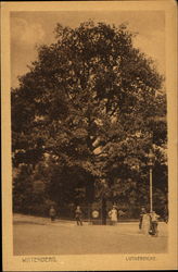 LutherReiche Postcard
