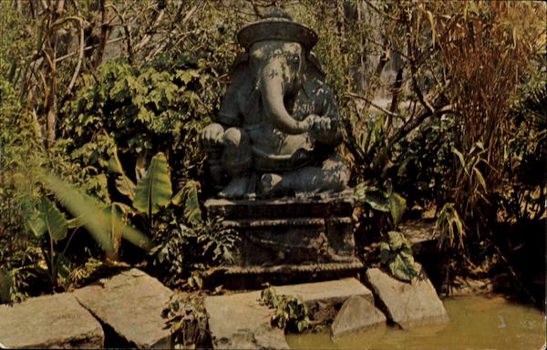 Elephant Pool Disney