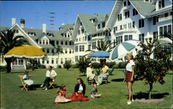 Belleview Biltmore Hotel Postcard