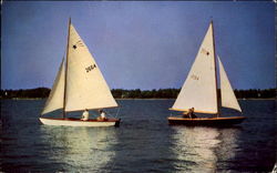 Sailing Postcard