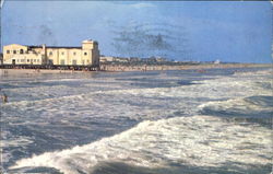 Shore Line From Fishing Pier Postcard
