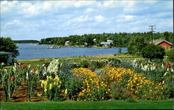 Flower Garden, Sebasco Lodge Sebasco Estates, ME Postcard Postcard