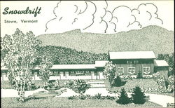 Snowdrift Postcard