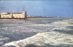 Shore Line From Fishing Pier Postcard