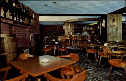 The Ambassador Hotel Celar Bar Postcard