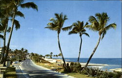 View Of Beach As Seen From Ocean Blvd Postcard