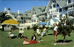 Belleview Biltmore Hotel Postcard