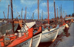 Sponge Fleet At Docks Tarpon Springs, FL Postcard Postcard
