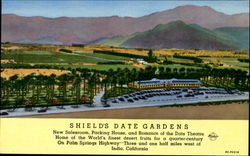 Shield's Date Gardens Indio, CA Postcard Postcard