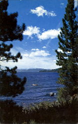 Lake Tahoe California Postcard Postcard