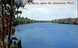 Florida's Beautiful Suwannee River Postcard