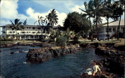 Naniloa Motel Hilo Island Of Hawaii Postcard Postcard