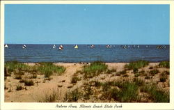 Nature Area, Illinois Beach State Park Zion, IL Postcard Postcard