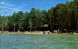 Higgins Lake Postcard