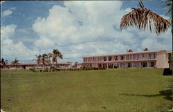 Flamingo Lodge Florida Postcard Postcard