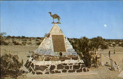 Hi Jolly's Tomb Quartzsite, AZ Postcard Postcard