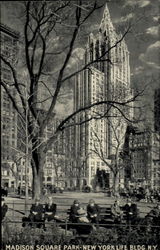Madison Square Park New York Life Bldg Postcard