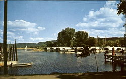 From The Beautiful Hiawatha Valley Lake City, MN Postcard Postcard