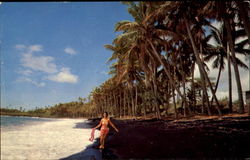 Black Sand Beach Postcard