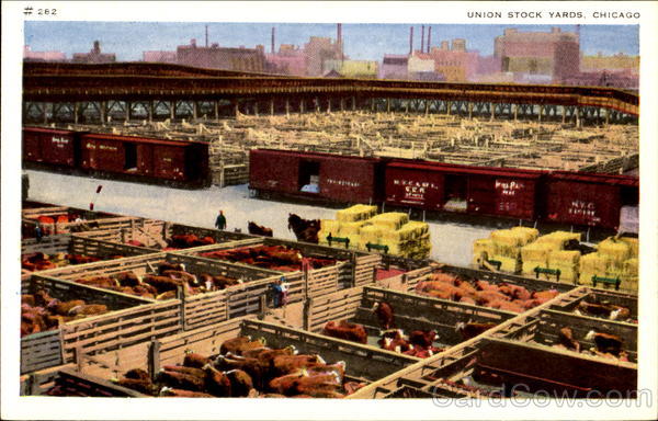 Union Stock Yards Chicago Illinois