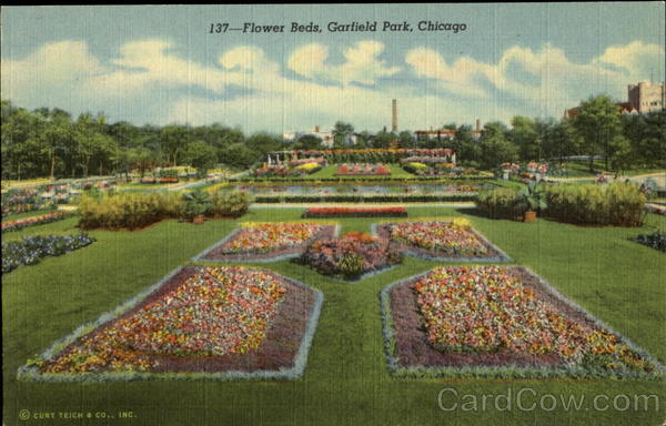 Flower Beds, Garfield Park Chicago Illinois