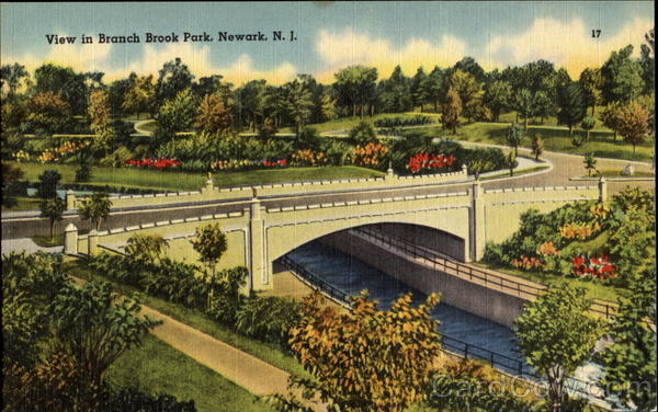 View In Branch Brook Park Newark New Jersey