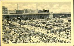 Stock #115596 Thumbnail