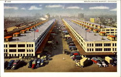 South Water Market Postcard