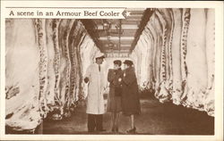 A Scene In An Armour Beef Cooler Postcard