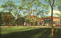 Witte Museum, Brackenbridge Park Postcard