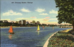 Diversey Harbor Postcard