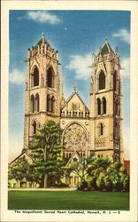 The Magnificent Sacred Heart Cathedral Postcard