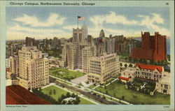 Chicago Campus, Northwestern University Postcard