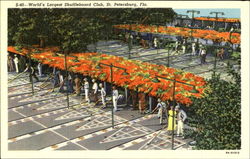 World's Largest Shuffleboard Club Postcard