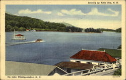 Looking Up Alton Bay Winnipesaukee, NH Postcard Postcard