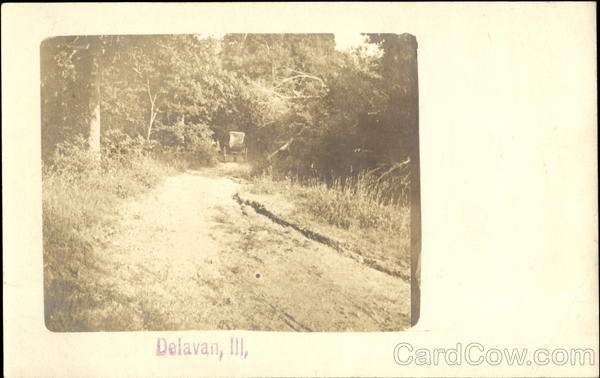 Dirt Road w/Carriage Delavan Illinois